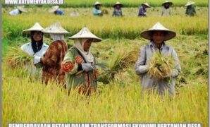 bisnis-transformasi-pangan-untuk-produktifitas-petani_a6ca808fd.jpg